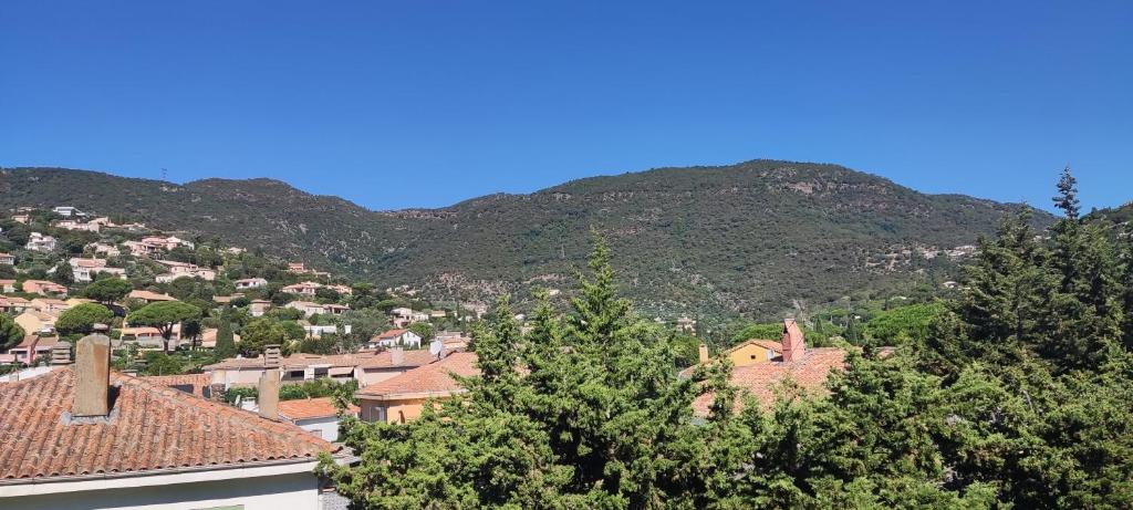 Appartement T2 climatisé dans résidence calme - 1