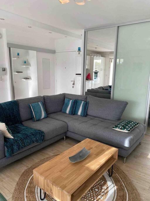 Appartement Les Eucalyptus dans domaine privé à Cannes - 4