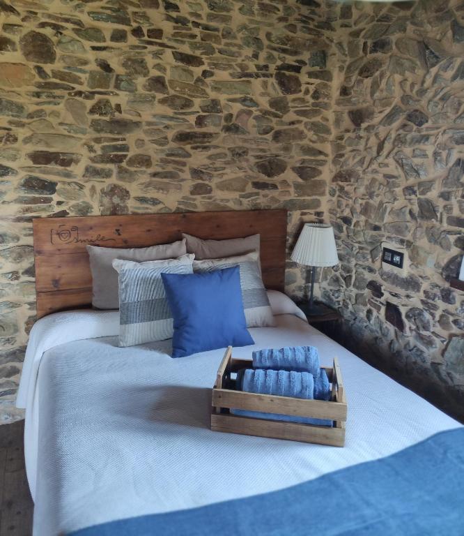 MINI PICONEIRO II, Pravia