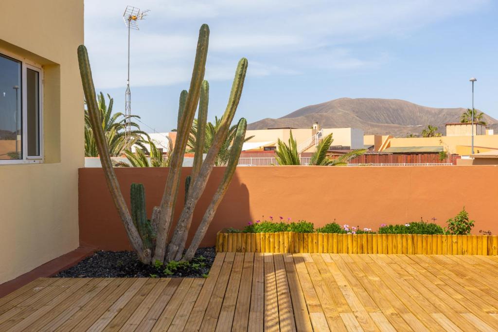 Garden house with two terraces - 2