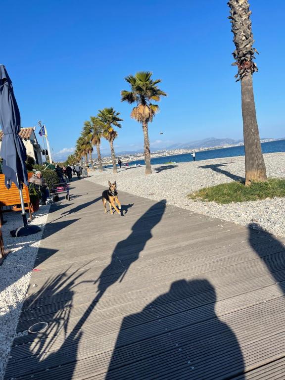 VILLENEUVE LOUBET PLAGE- Entre NICE et CANNES - 4