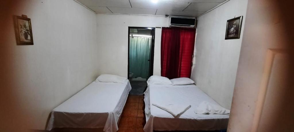 Tropical Dreams Hostel photo