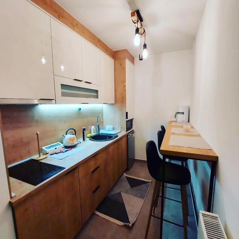 Apartman Srna Pale - 4