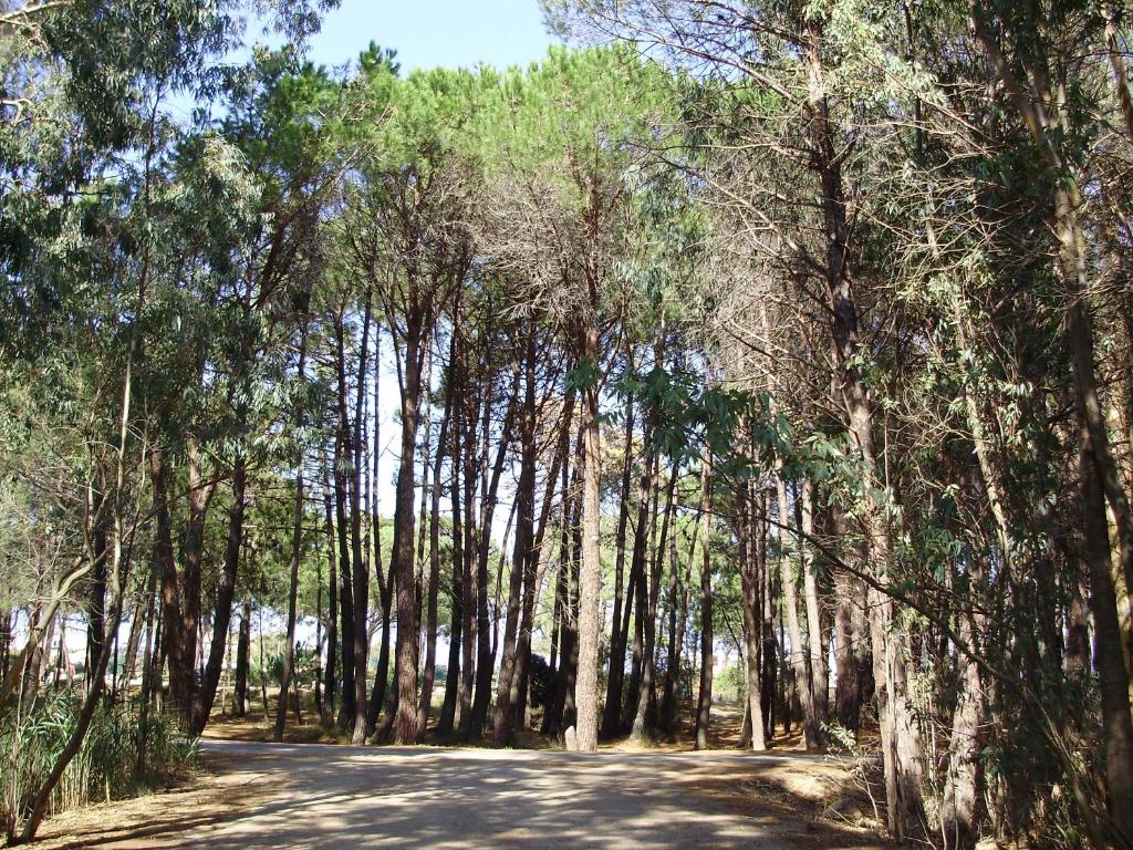 Appartement F1 Calvi à 150 mètres de la plage - 3