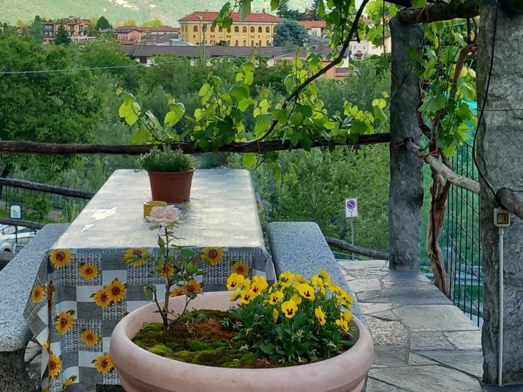 Casa Neva - 5