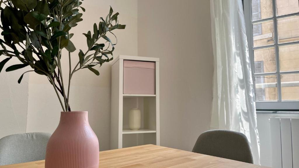 Apartment L'écrin de SaintCyr Apartment in Nevers in la Nièvre (58)