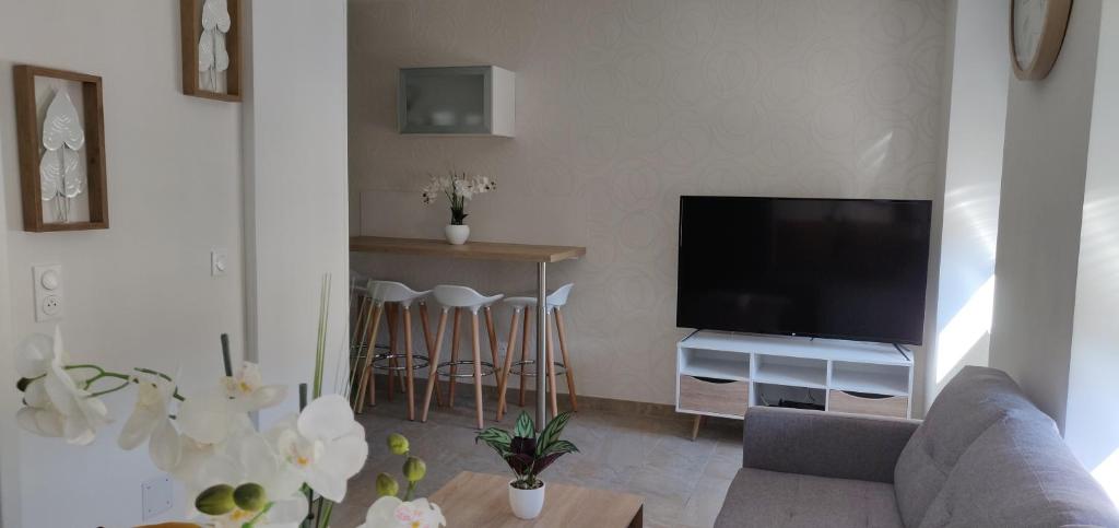 Le Cygne, appartement de standing en hyper-centre, Sarreguemines