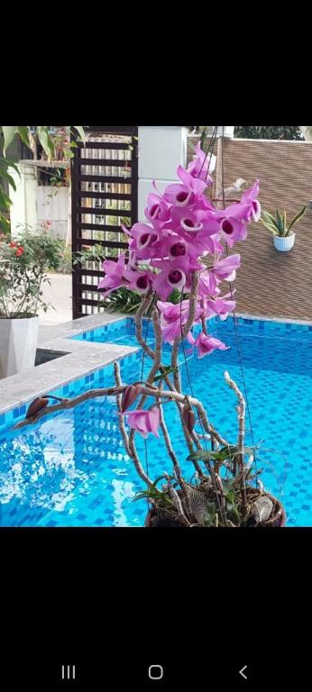 Riverlife Homestay Hoi An Riverlife Homestay Hoi An