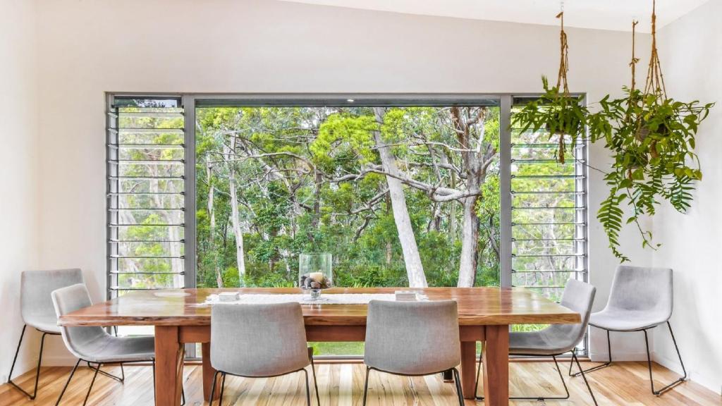 Rainforest Tranquility, Elizabeth Beach