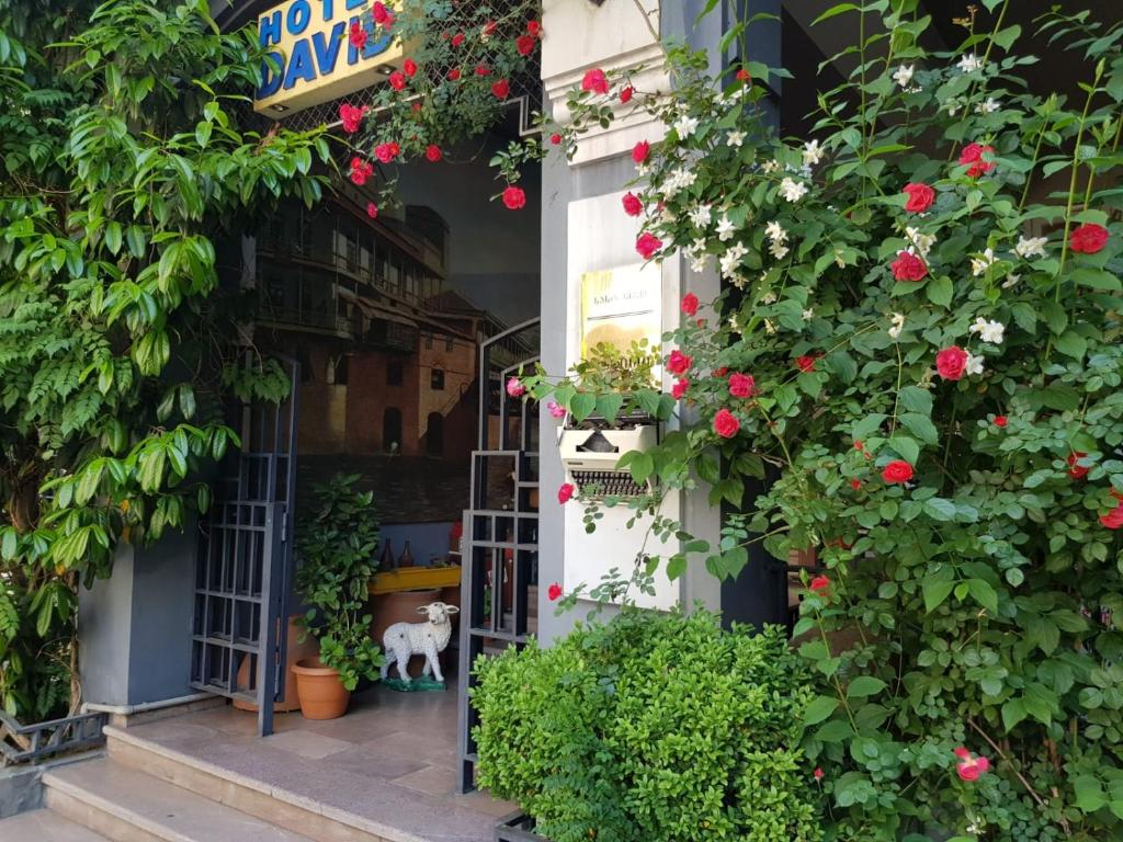 David Hotel - Ethno style photo