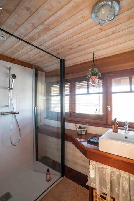 La cabane sous les pins - 2