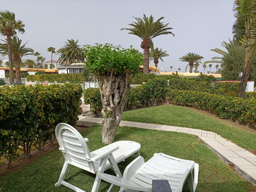 BUNGALOW JARDÍN CENTRICO PLAYA INGLES - 1