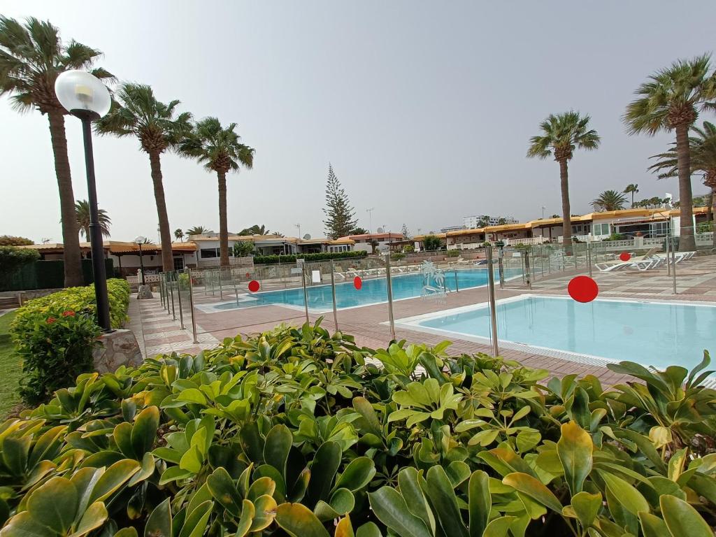 BUNGALOW JARDÍN CENTRICO PLAYA INGLES - 2
