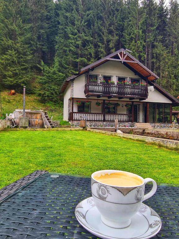 Cabana '' La Poalele Giumalăului ''