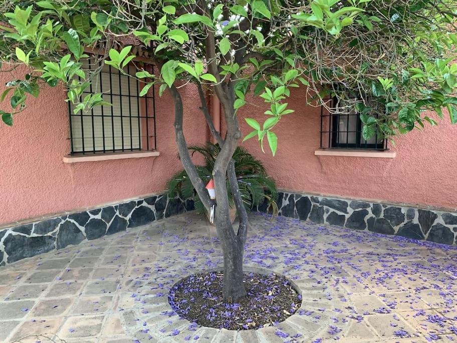 Villa costa del sol - 5