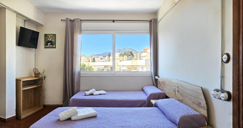Hostal La Palmera - 3
