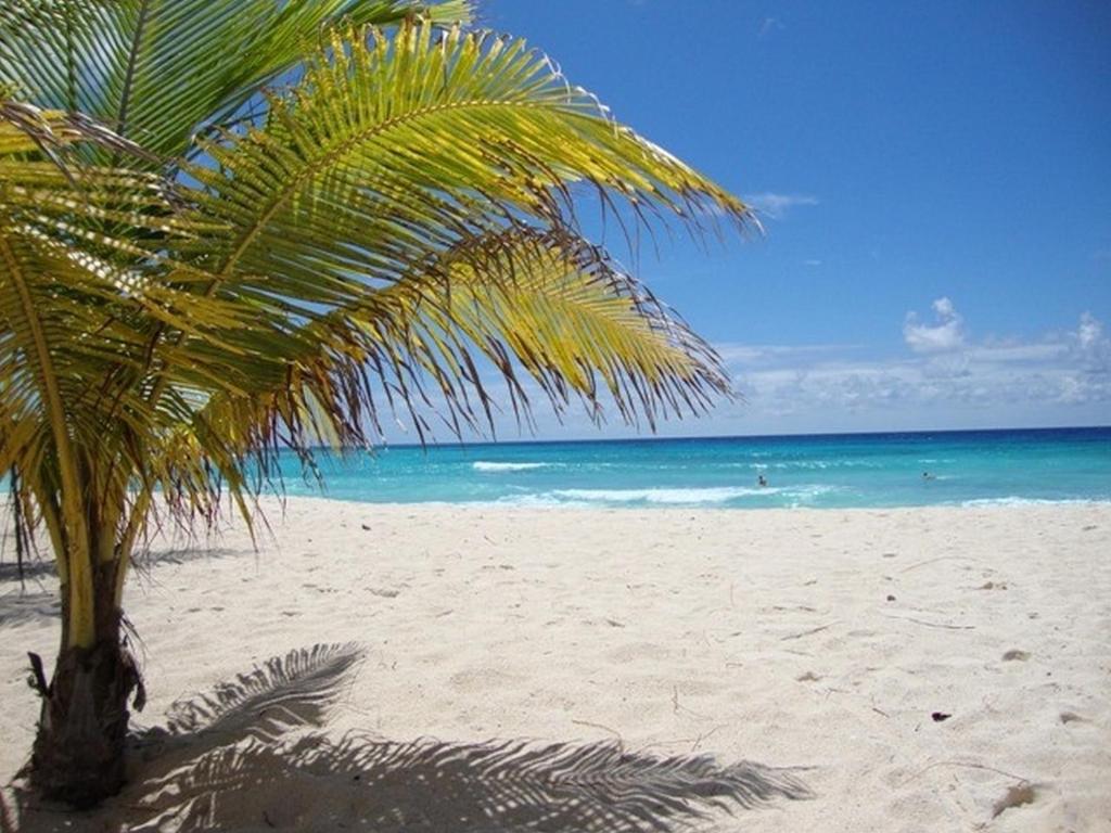 Beach Guest House Cleverdale photo