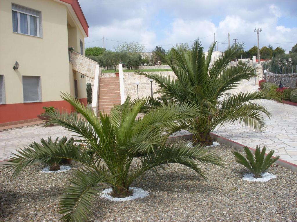 Villa Mafalda - 2