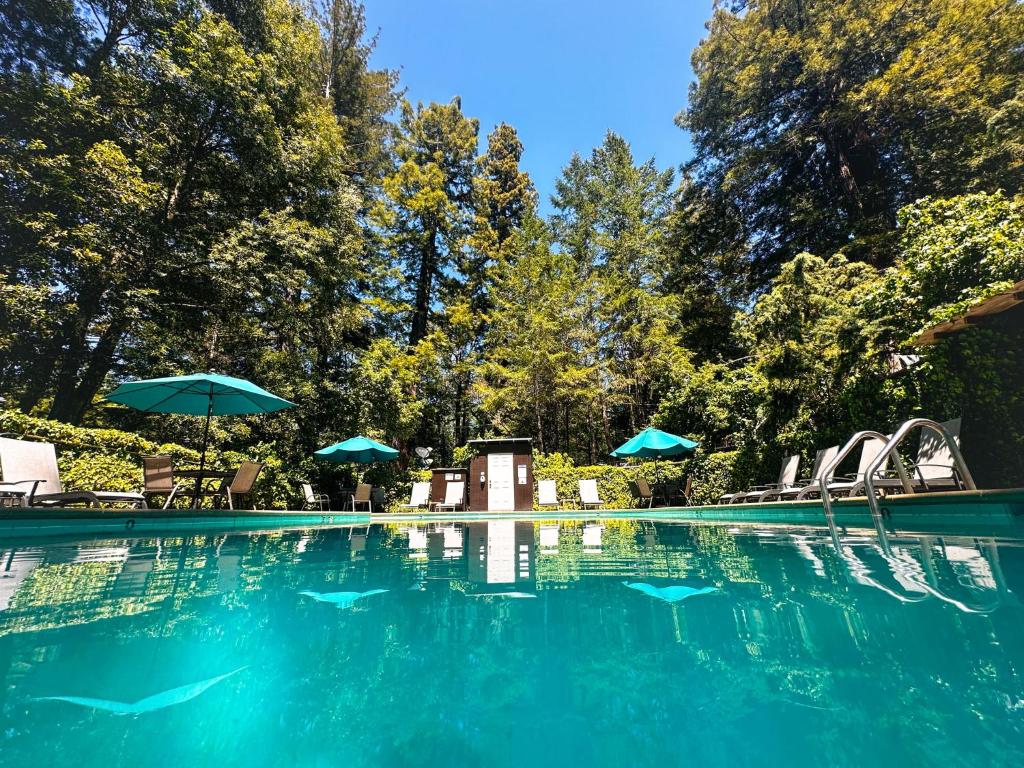 Redwoods River Resort & Campground photo