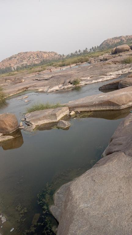 Chintamani guest apartment