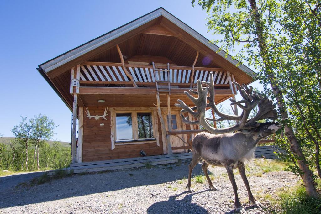 Saivaara Cottages — Hotel in Kilpisjarvi
