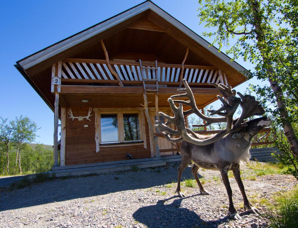 Saivaara Cottages photo
