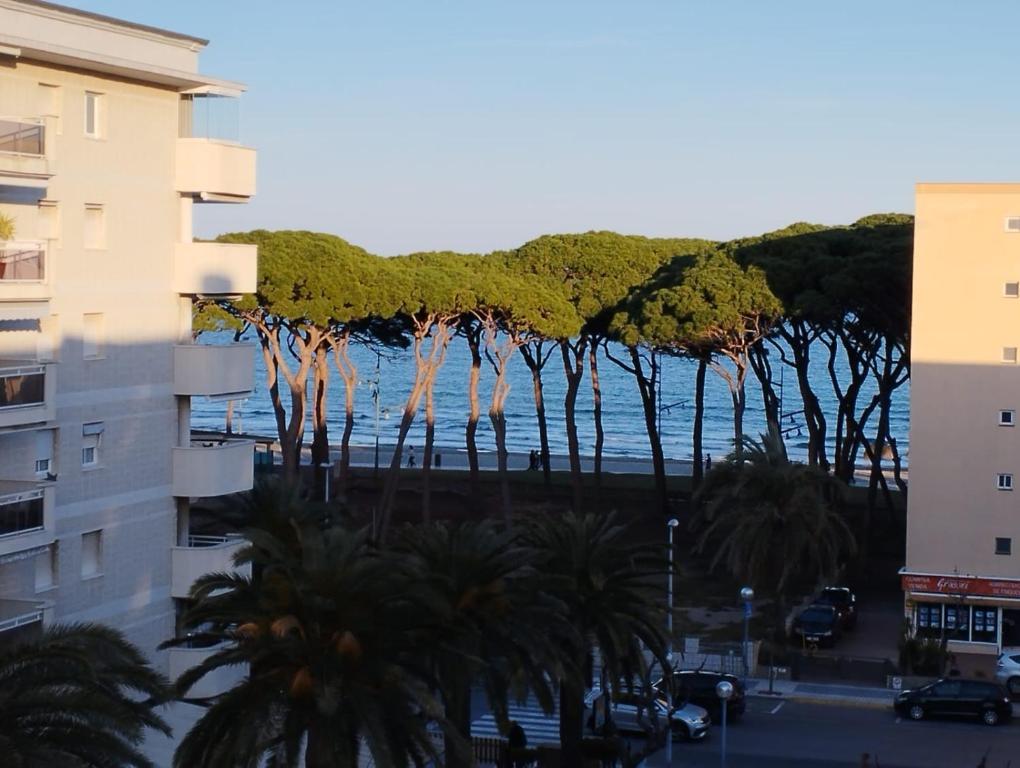 SEAFRONT APARTMENT PINEDA BEACH - 3