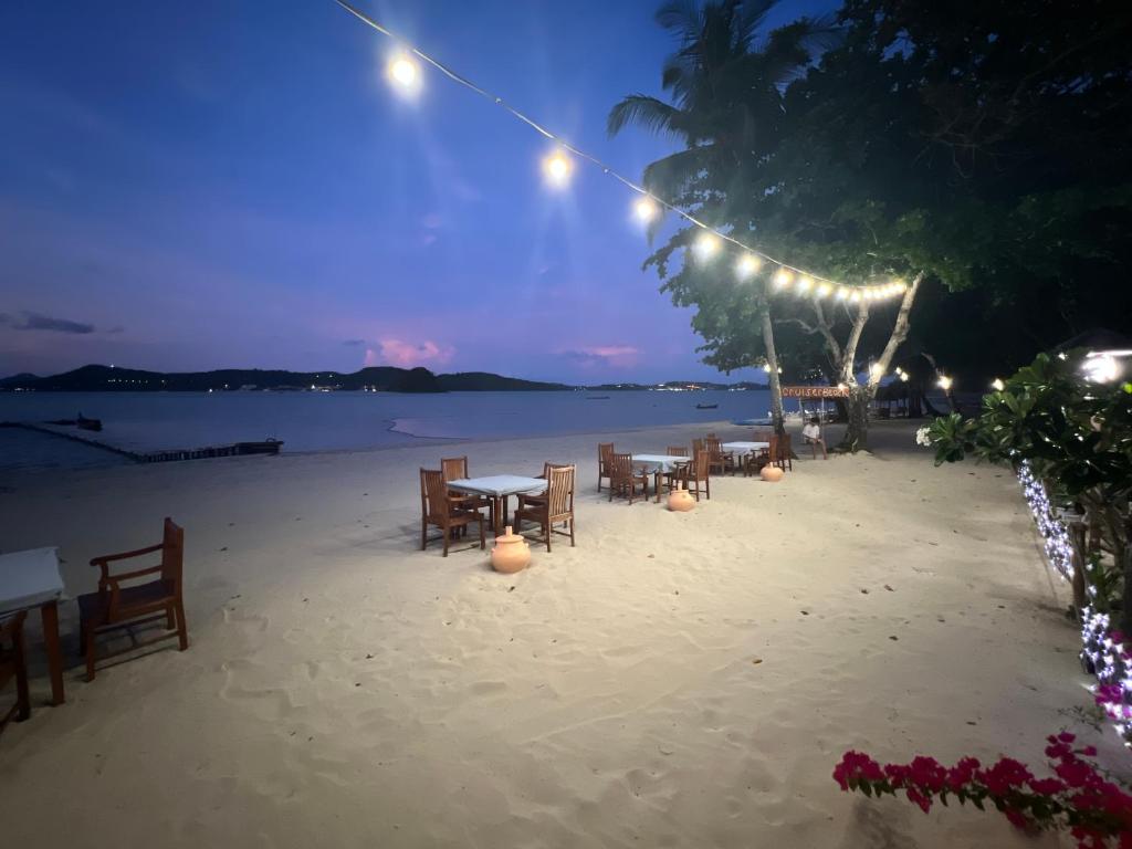 Cruiser Island Resort photo