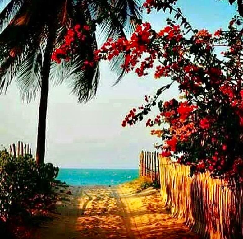 Aloha Village Bangalos photo