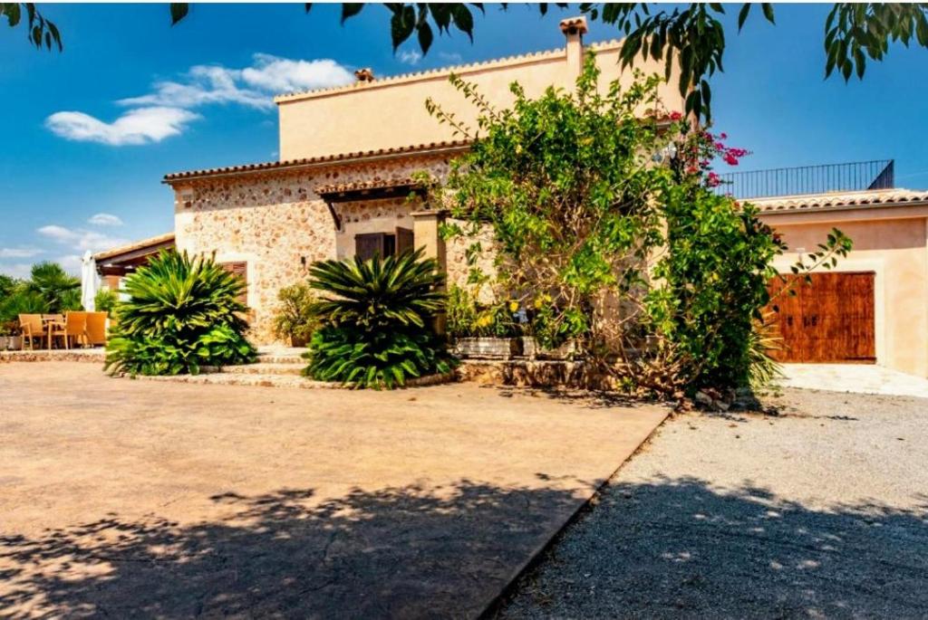 Finca Cari - 3