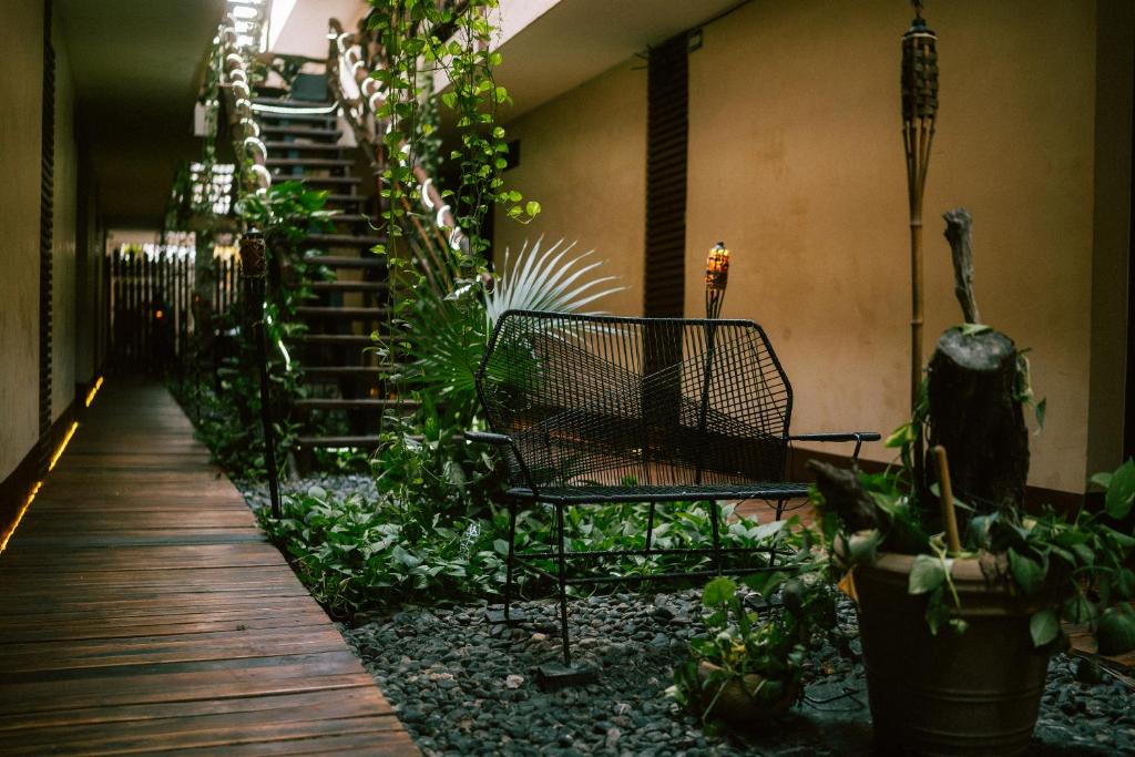 Hotel Bohonito Holbox photo