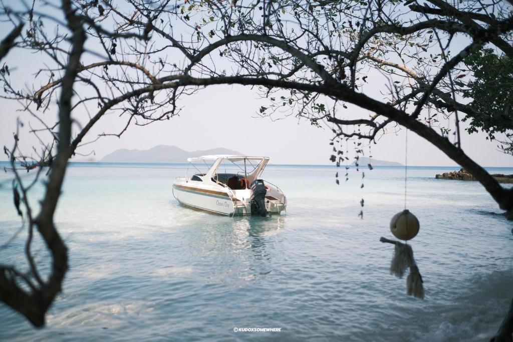 Surrounding environment