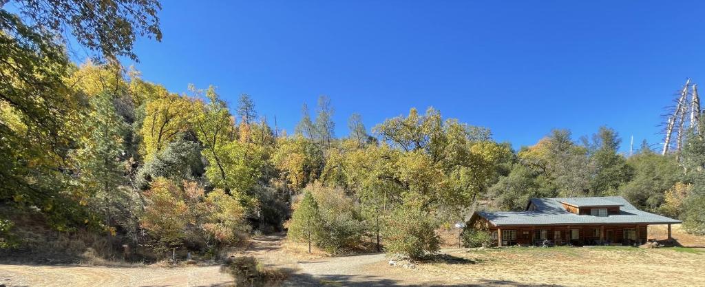 Bear Creek Cabins photo