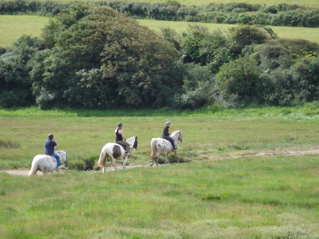 Horseback riding