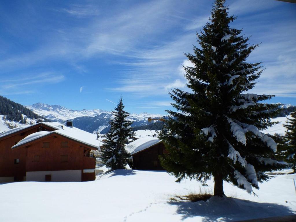 Studio aux Saisies, 1 étoile, 4 pers, centre station - 2
