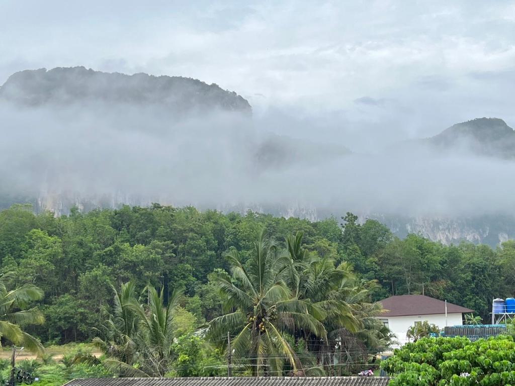Surrounding environment