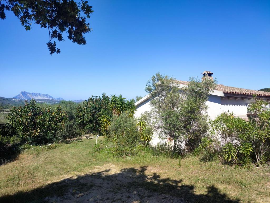 Villa Valfrida - 2