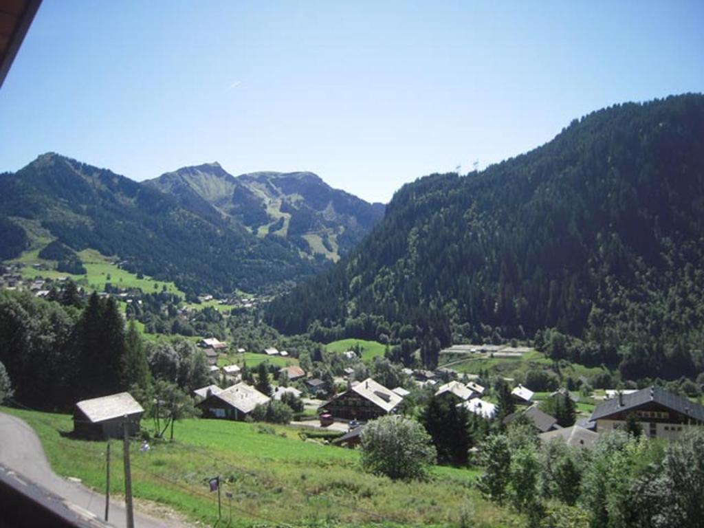 Appartement Chatel, 3 pieces, 4 personnes - FR-1-200-150 photo