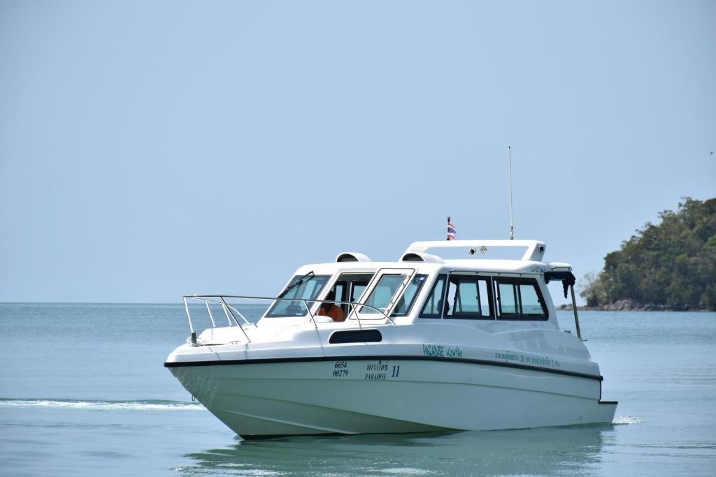 Programlehetőségek