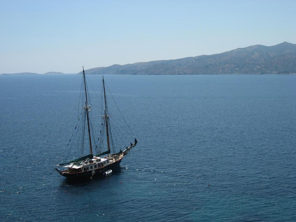 アクティビティ