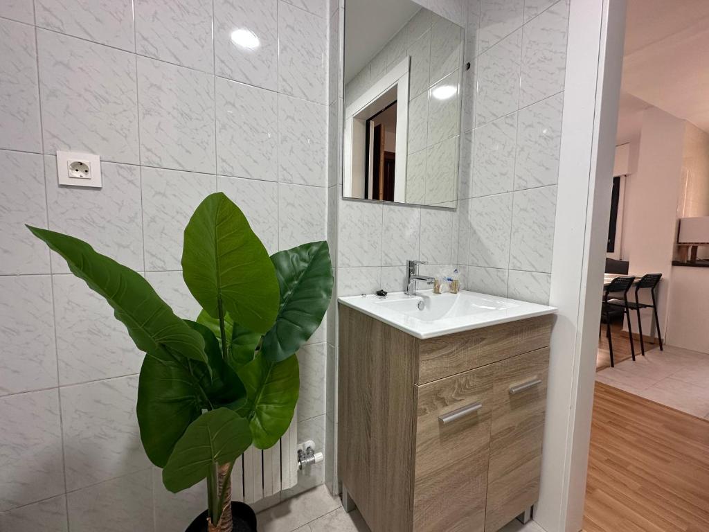 Dos Torres Hobbiton- En el Corazón del Casco Histórico - 5