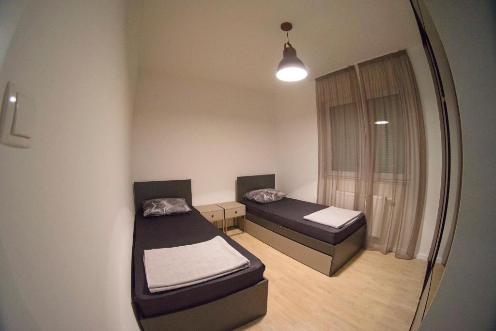 Apartman David - 5