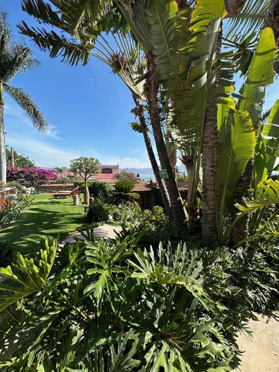 Hotel Lindo Ajijic Bed & Breakfast photo