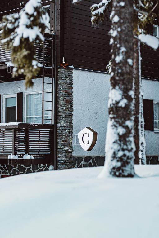 Levin Alppitalot Alpine Chalets photo
