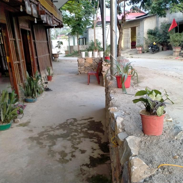 Du gia homestay friendly photo