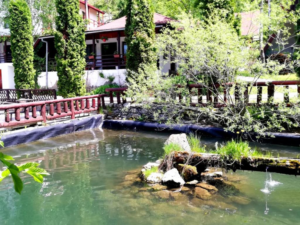 Vila Maria Bran photo