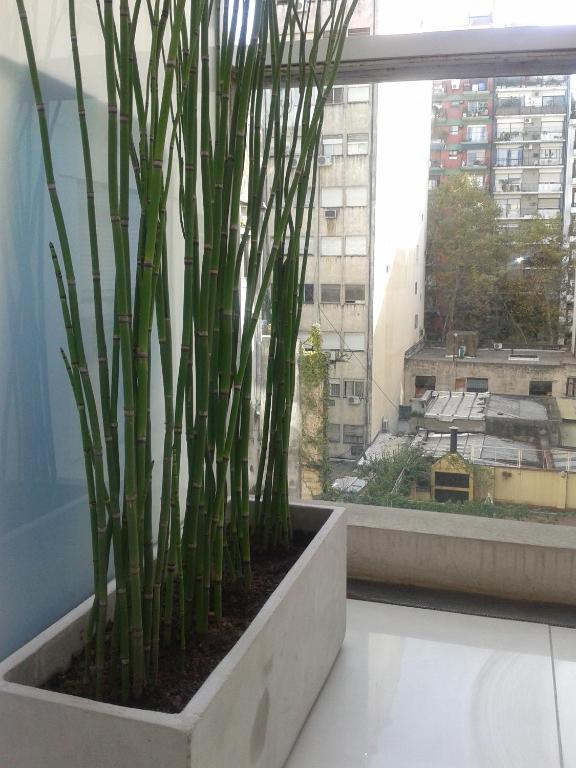 Design Larrea Studio photo