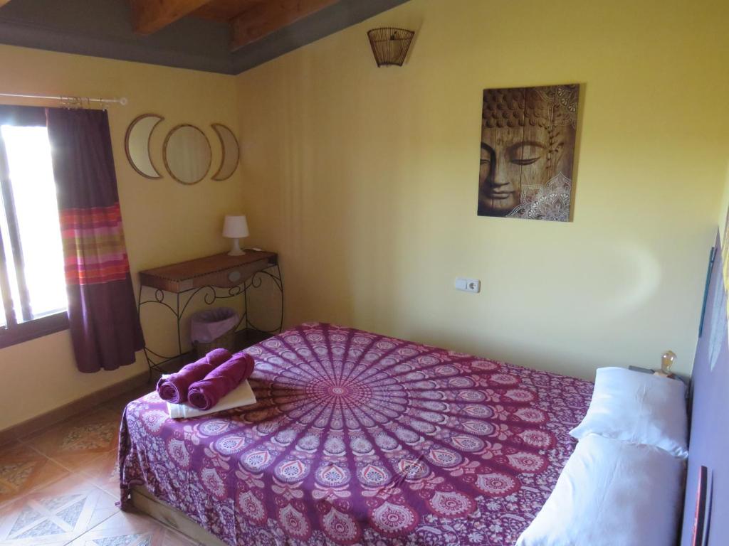 HIGOS CHUMBOS, CASA RURAL COMPARTIDO - 2