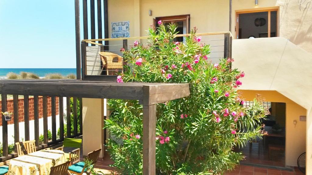 Casa Catinca Cullera - Beach House On the Dune - 3