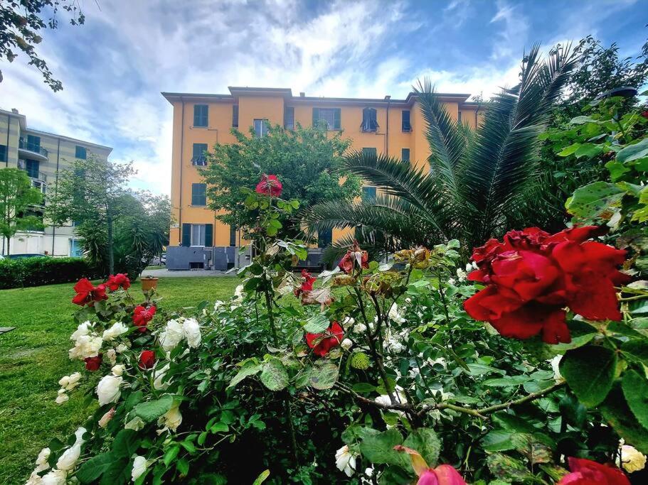 Appartamento vista giardino - L'onda blu - 1